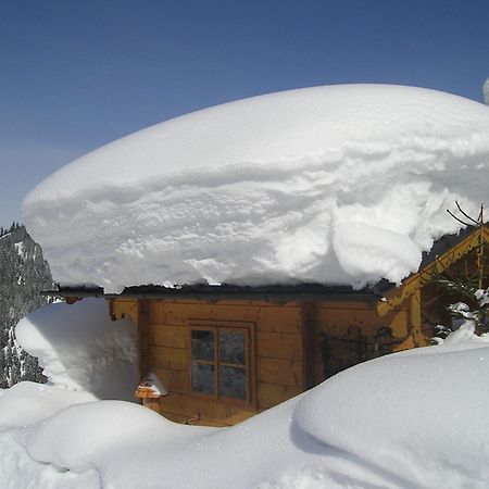 Fesengut Annaberg im Lammertal Exterior foto