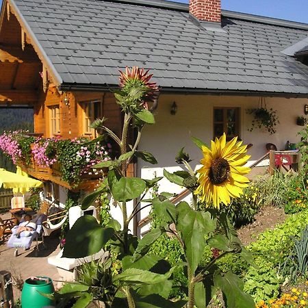 Fesengut Annaberg im Lammertal Exterior foto