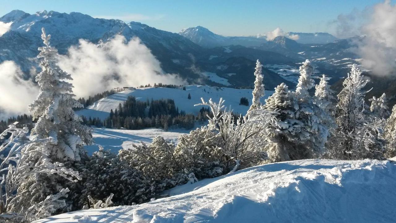 Fesengut Annaberg im Lammertal Exterior foto