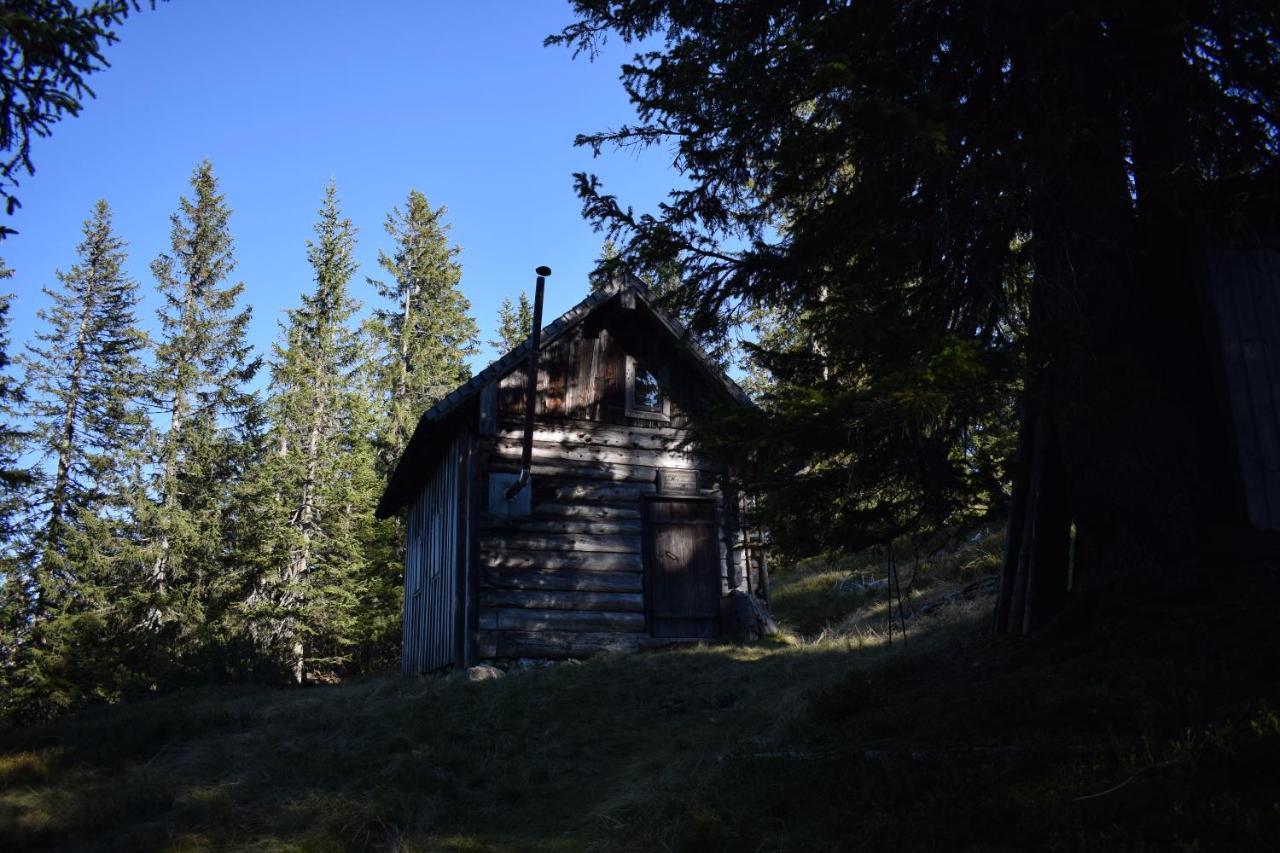 Fesengut Annaberg im Lammertal Exterior foto