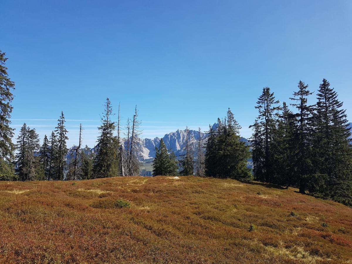 Fesengut Annaberg im Lammertal Exterior foto