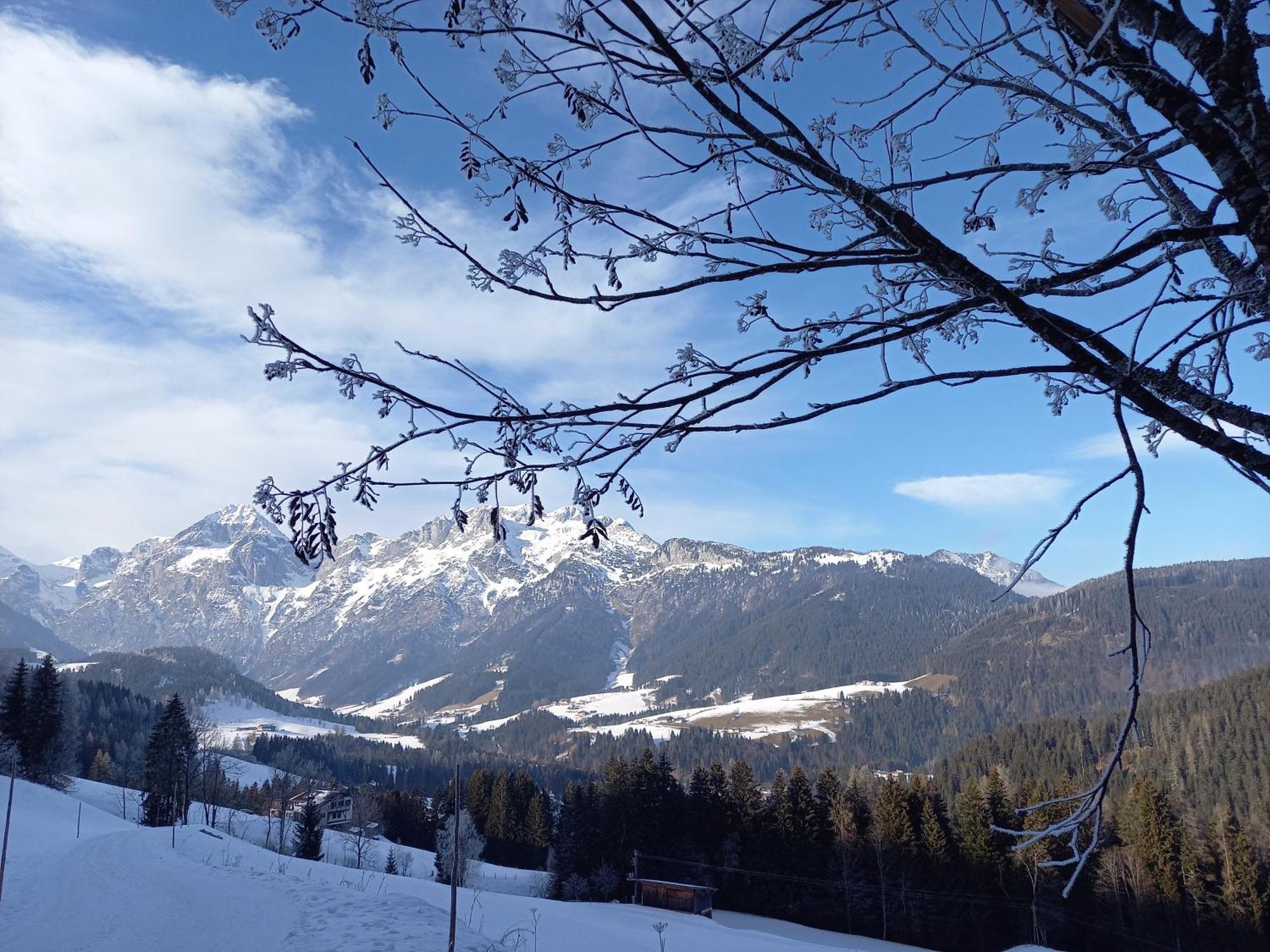 Fesengut Annaberg im Lammertal Exterior foto
