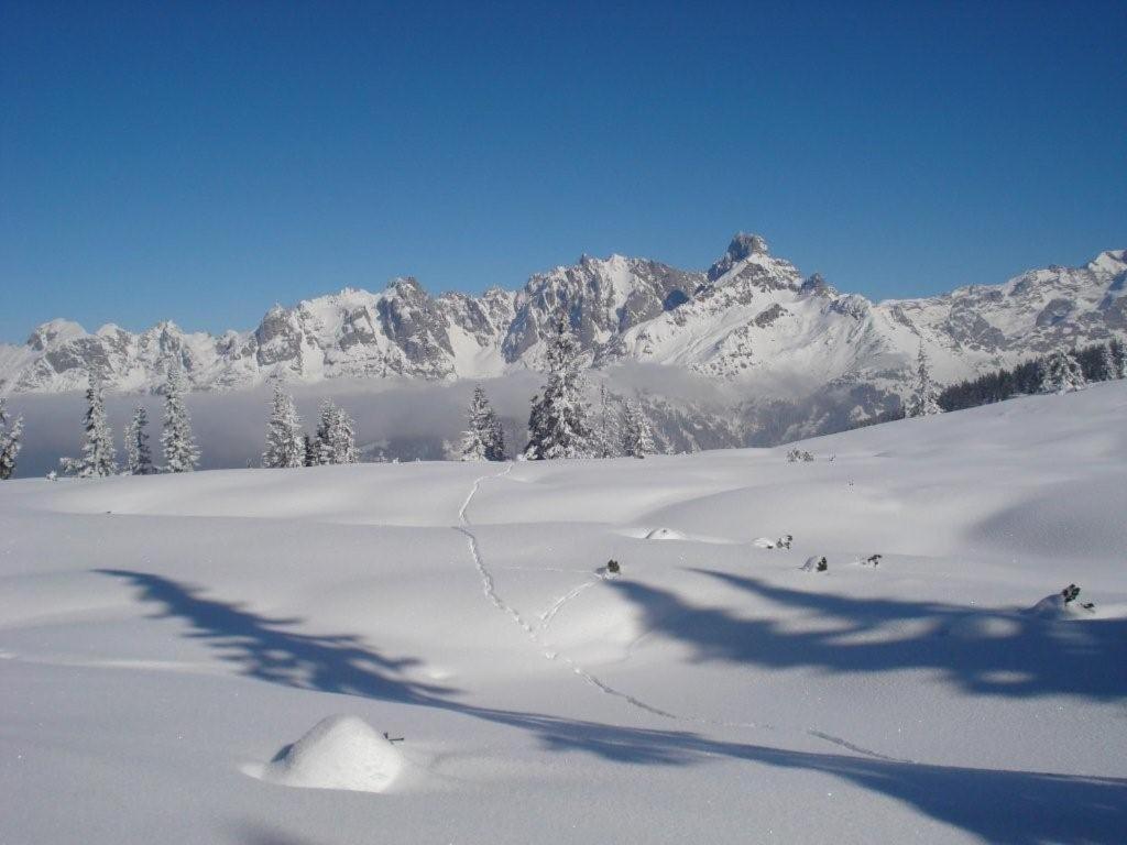 Fesengut Annaberg im Lammertal Exterior foto