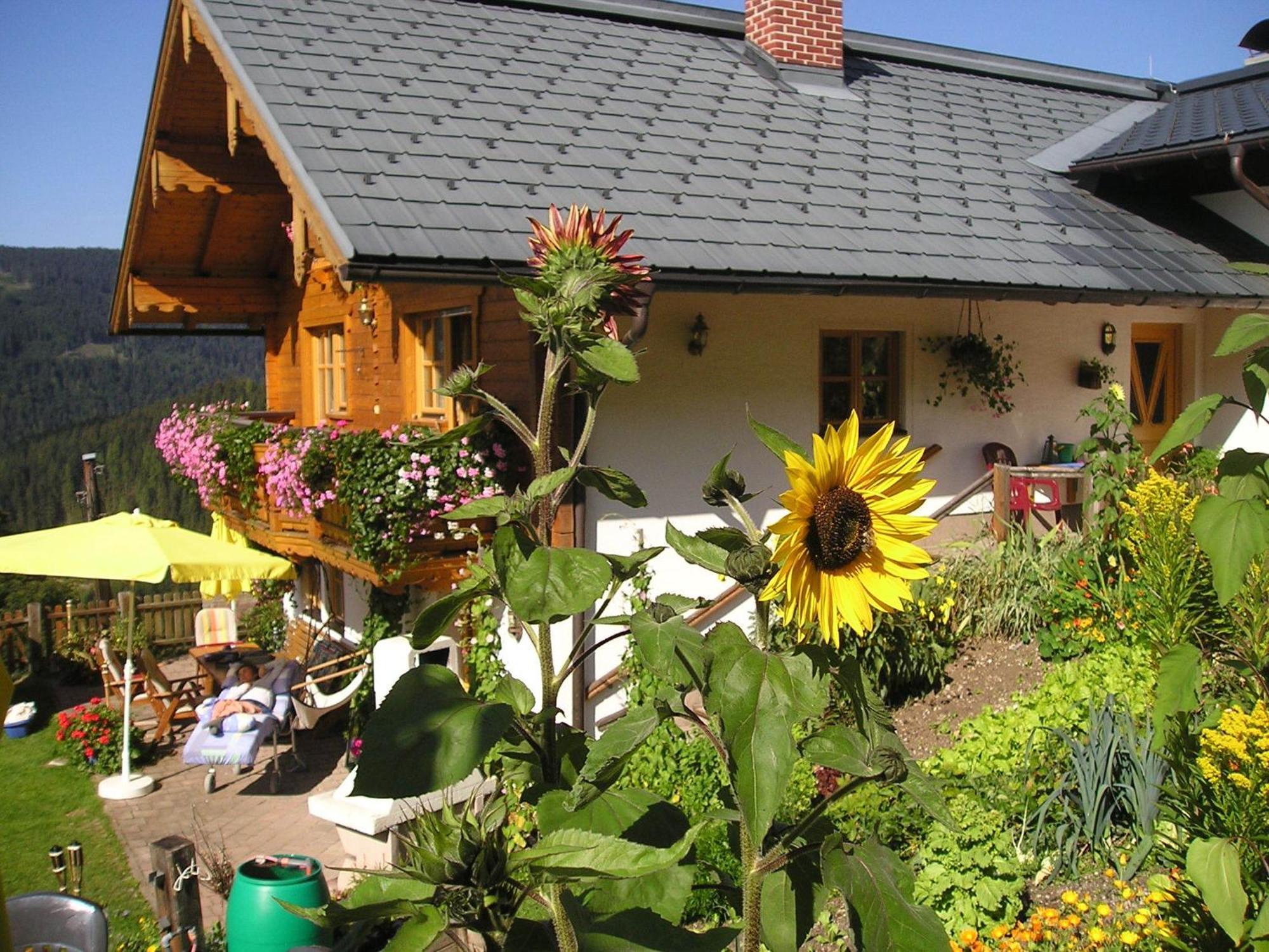 Fesengut Annaberg im Lammertal Exterior foto