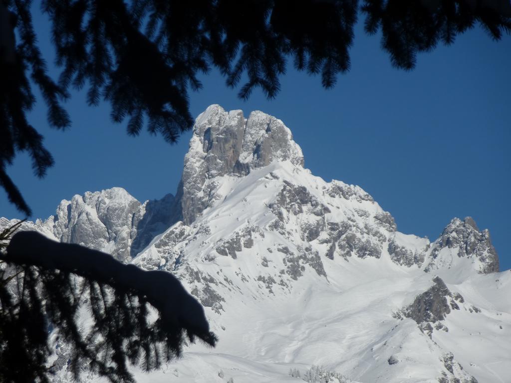 Fesengut Annaberg im Lammertal Exterior foto